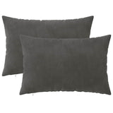 vidaXL Kussensloop 2 pcs HEERLEN Blauw 30 x 30 cm Fluweel