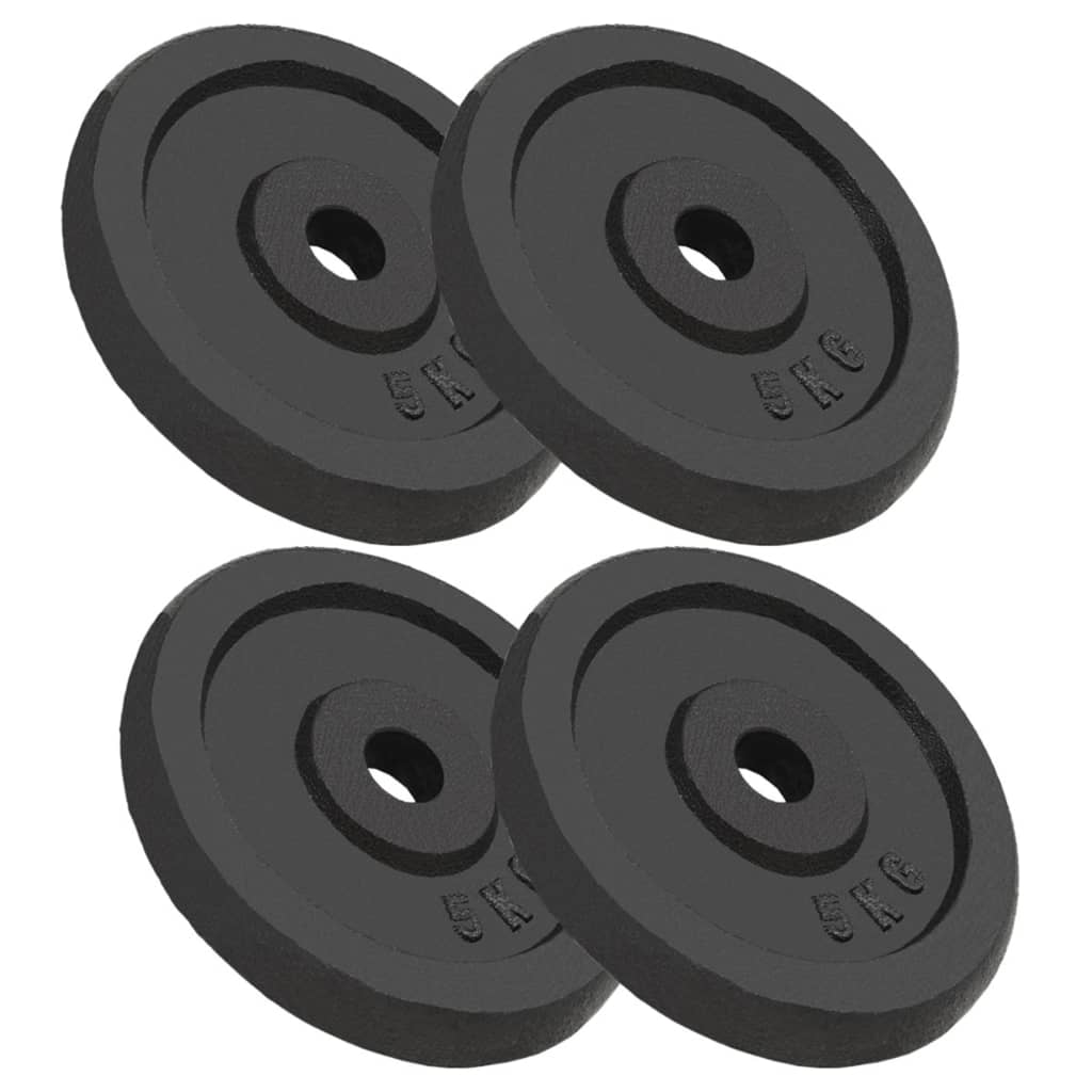 vidaXL Halterschijf 40 kg gietijzer