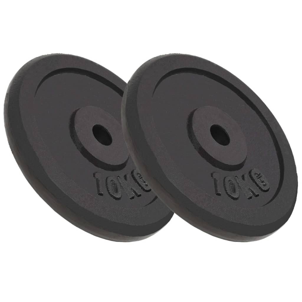 vidaXL Halterschijf 40 kg gietijzer
