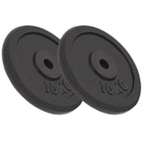 vidaXL Halterschijf 40 kg gietijzer