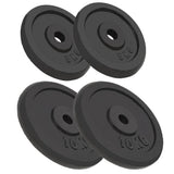 vidaXL Halterschijf 40 kg gietijzer