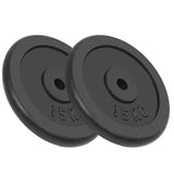 vidaXL Halterschijf 40 kg gietijzer