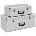 vidaXL Opbergkoffers 2 st aluminium zilverkleurig