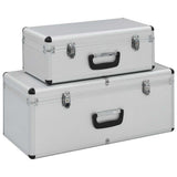 vidaXL Opbergkoffers 2 st aluminium zilverkleurig