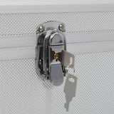 vidaXL Opbergkoffers 2 st aluminium zilverkleurig