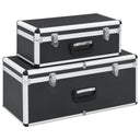vidaXL Opbergkoffers 2 st aluminium zilverkleurig
