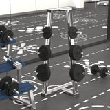 vidaXL Halterschijf 40 kg gietijzer