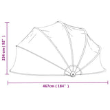 vidaXL Zwembadkoepel 440x220 cm
